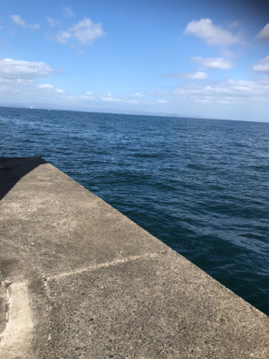 坂ノ市一文字でショアジギ