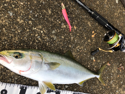 濁りがキツイ中　なんとか1本