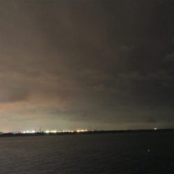 ホームのタッチー調査