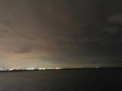 ホームのタッチー調査