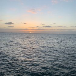 やっぱりテンヤやわ！