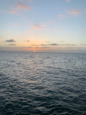 やっぱりテンヤやわ！