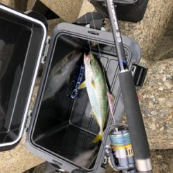 旧日本鋼管ツバスフィーバー