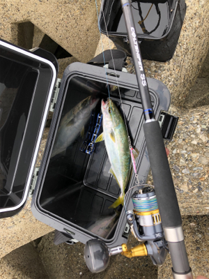 旧日本鋼管ツバスフィーバー