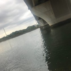 リバーシーバス