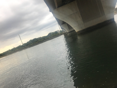 リバーシーバス