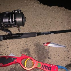 台風明けも入れ食い！！