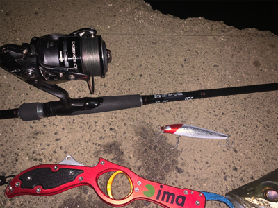 台風明けも入れ食い！！