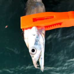 今シーズン1番の冷え込み