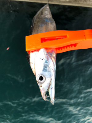 今シーズン1番の冷え込み