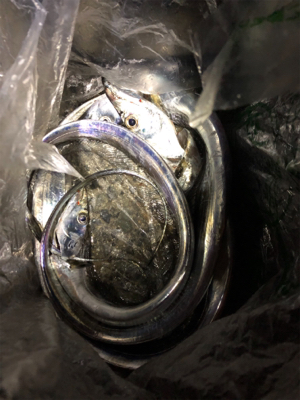 台風のあとで･･･