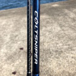 今年初‼️タチウオ❗️