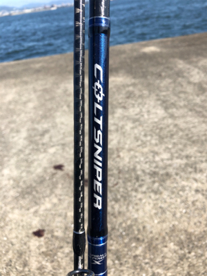 今年初‼️タチウオ❗️