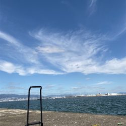 青物はいい感じだがムラありかな