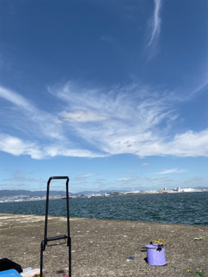 青物はいい感じだがムラありかな