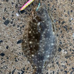 ジギングサビキ