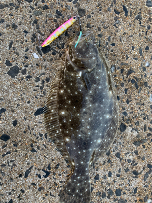 ジギングサビキ