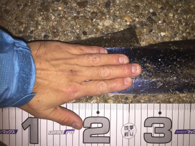 なんとかボウズ逃れ