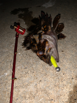 ガチャガチャの釣り竿にて