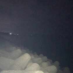 久しぶりのアオリ(^.^)