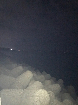 久しぶりのアオリ(^.^)