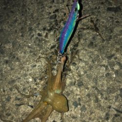 粘って何とか、、