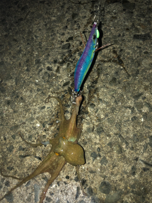 粘って何とか、、