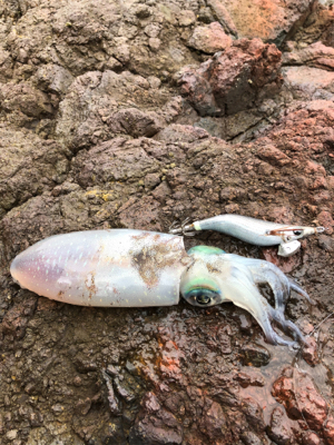 遅生まれってやつかな