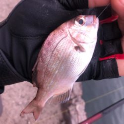 五目釣り!大漁!!