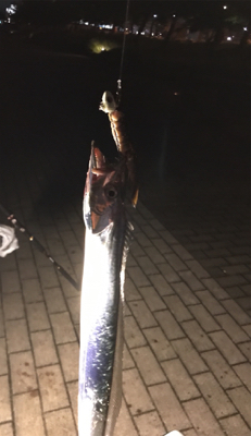 合わせが下手でした。