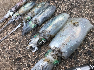 鳥取、島根の2泊3日遠征！