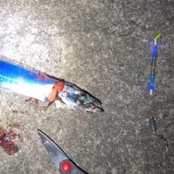 週末のタッチーチャレンジ