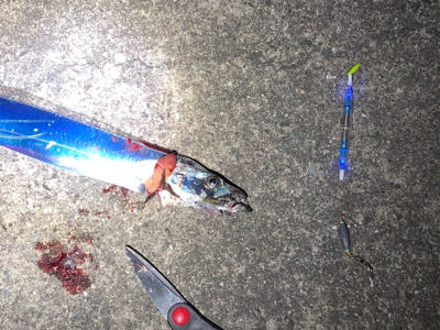 週末のタッチーチャレンジ