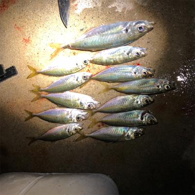 淡路島ランガン