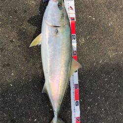 超絶やらかしました、、、