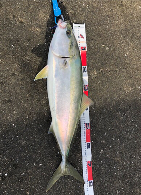 超絶やらかしました、、、