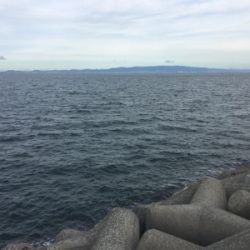 どうにかタチウオ&ハマチ