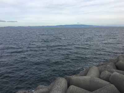 どうにかタチウオ&ハマチ