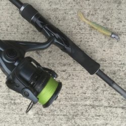 出勤前１時間釣行