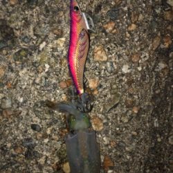 熱帯低気圧の雨がくる前に