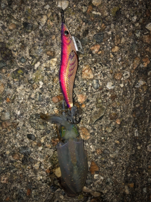 熱帯低気圧の雨がくる前に