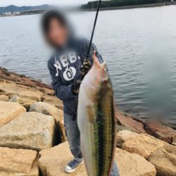 久しぶりに夫婦でキス釣り(^｡^)