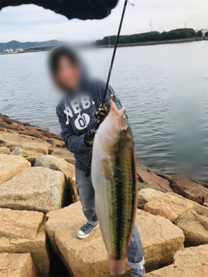 久しぶりに夫婦でキス釣り(^｡^)