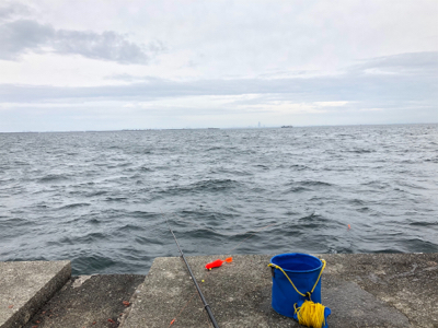 ポーアイ沖　釣果ぼちぼちも渋め