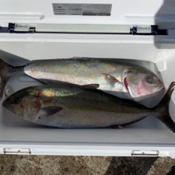 じゃのひれフィッシングパークにて