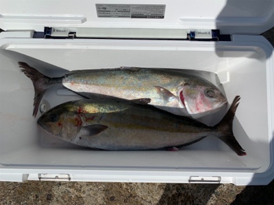 じゃのひれフィッシングパークにて