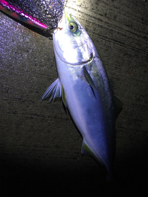 準備のの甘さで……。