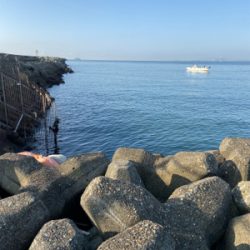 ポーズは逃れているが