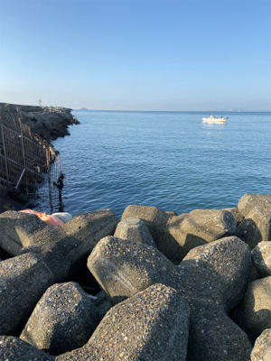 ポーズは逃れているが