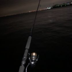 ナイト干潟ゲーム